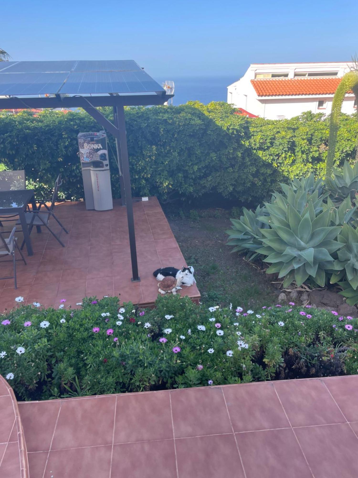 Alojamiento De Invitados Sauzal Exterior foto